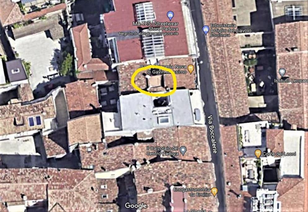 Residence Dei Frutti Pieno Centro - Il Cedro Padua Exterior foto